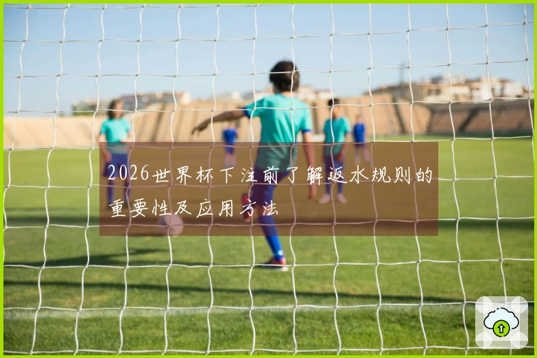 2026世界杯下注前了解返水规则的重要性及应用方法