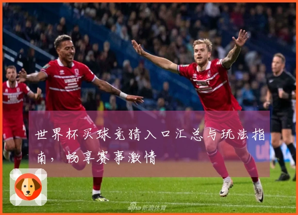 世界杯买球竞猜入口汇总与玩法指南，畅享赛事激情