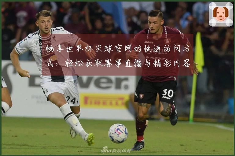 畅享世界杯买球官网的快速访问方式,轻松获取赛事直播与精彩内容