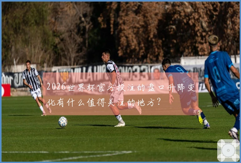 2026世界杯官方投注的盘口升降变化有什么值得关注的地方？