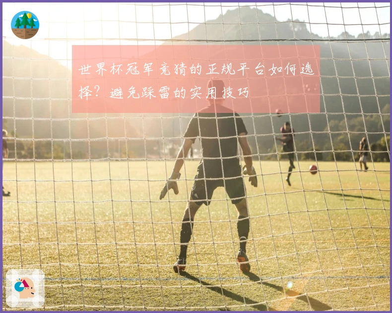 世界杯冠军竞猜的正规平台如何选择？避免踩雷的实用技巧