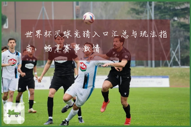 世界杯买球竞猜入口汇总与玩法指南，畅享赛事激情
