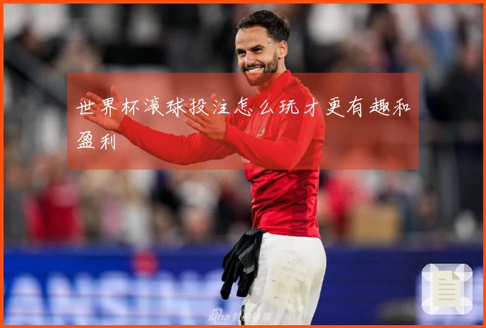 世界杯滚球投注怎么玩才更有趣和盈利
