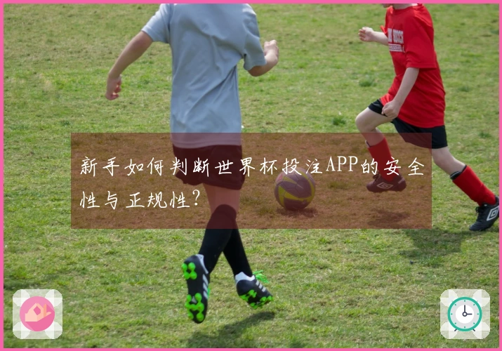 新手如何判断世界杯投注APP的安全性与正规性？