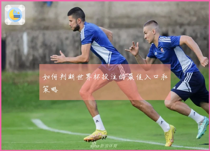 如何判断世界杯投注的最佳入口和策略