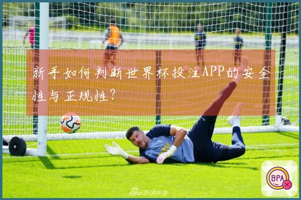 新手如何判断世界杯投注APP的安全性与正规性？