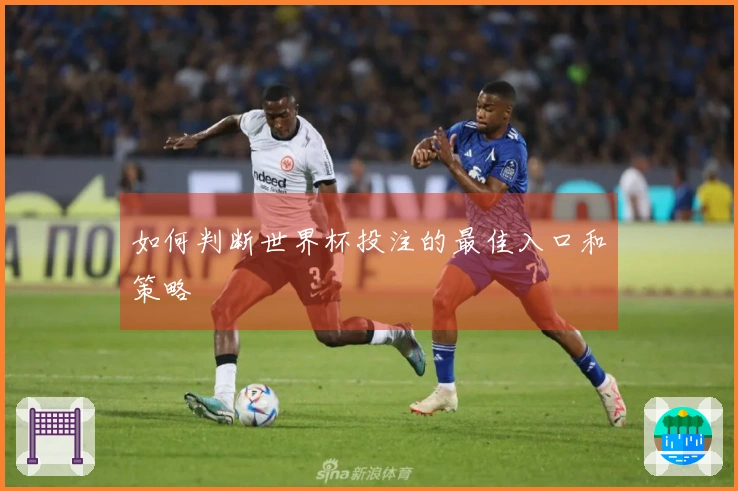 如何判断世界杯投注的最佳入口和策略