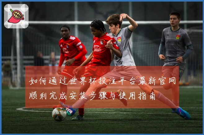 如何通过世界杯投注平台最新官网顺利完成安装步骤与使用指南
