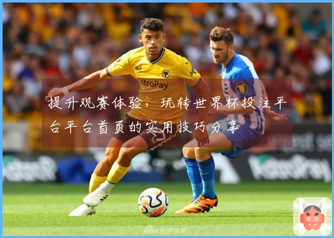 提升观赛体验，玩转世界杯投注平台平台首页的实用技巧分享