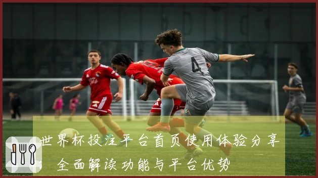 世界杯投注平台首页使用体验分享:全面解读功能与平台优势