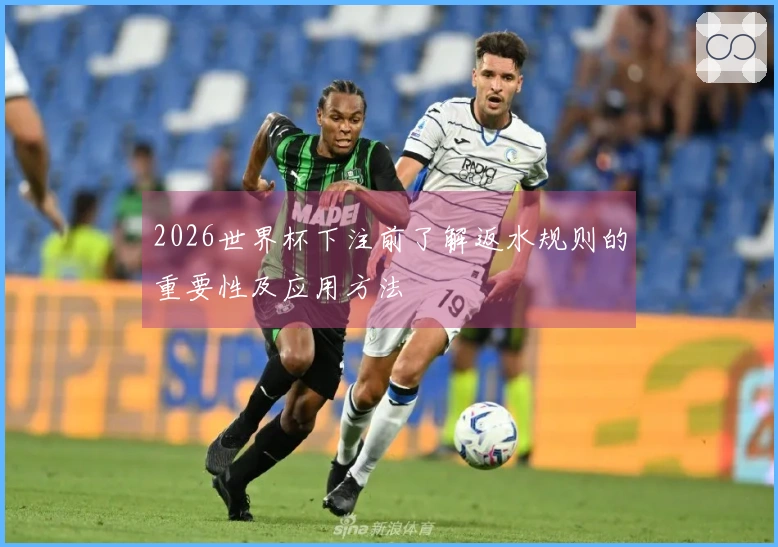 2026世界杯下注前了解返水规则的重要性及应用方法